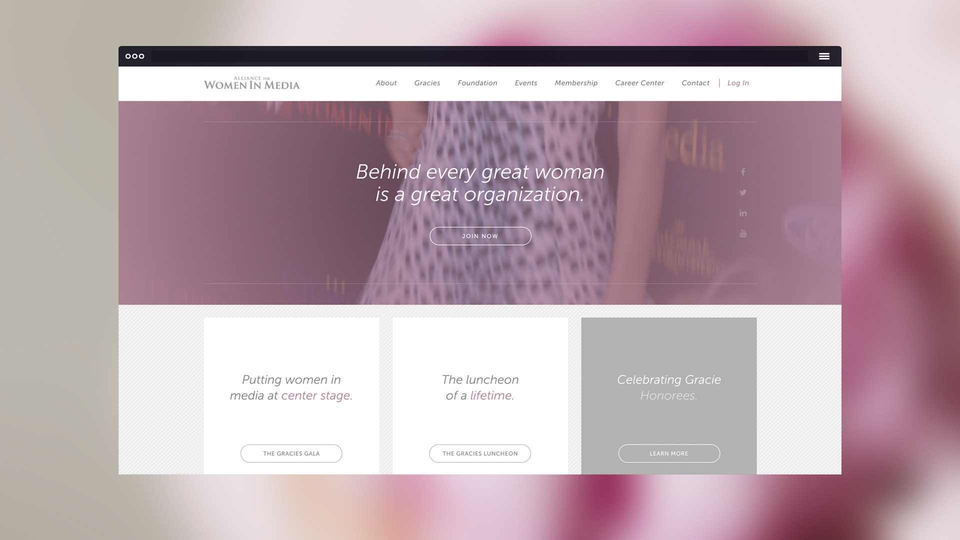 Alliance For Women In Media Portfolio Asset