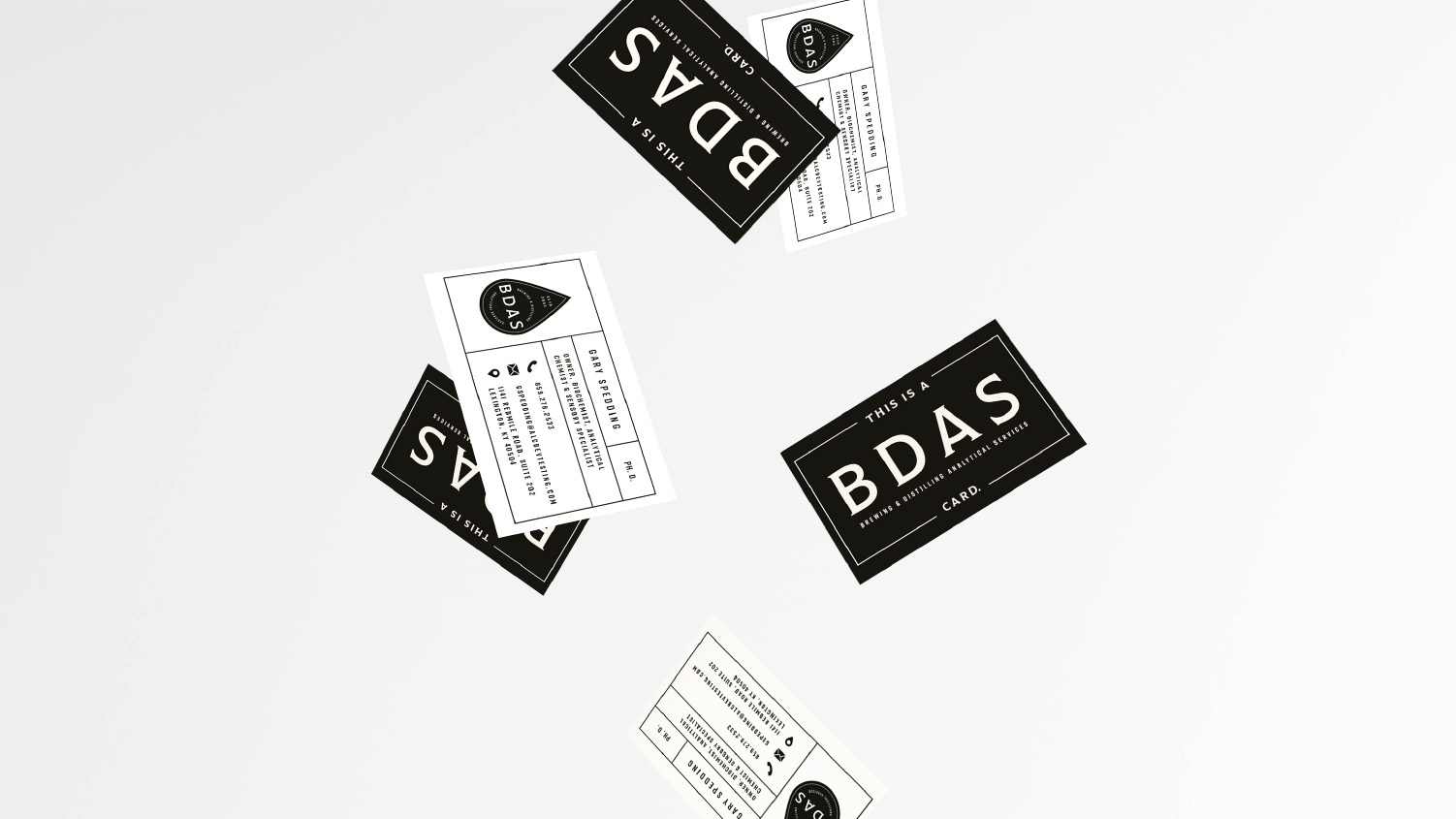 BDAS project image