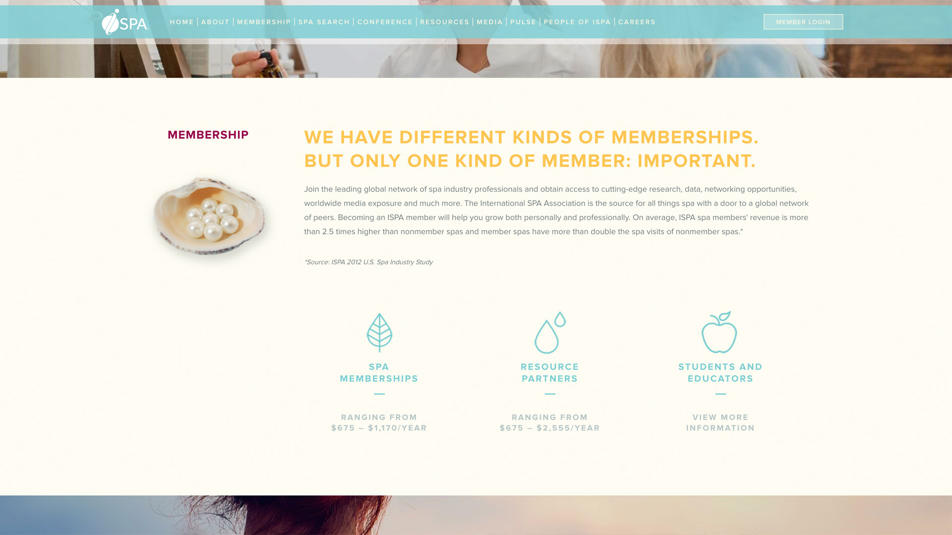 International Spa Association project image