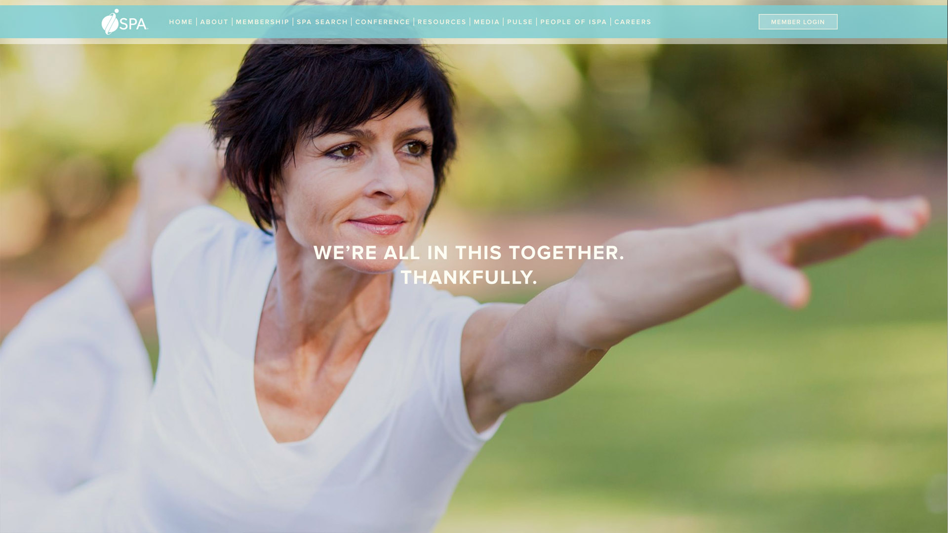 International Spa Association project image