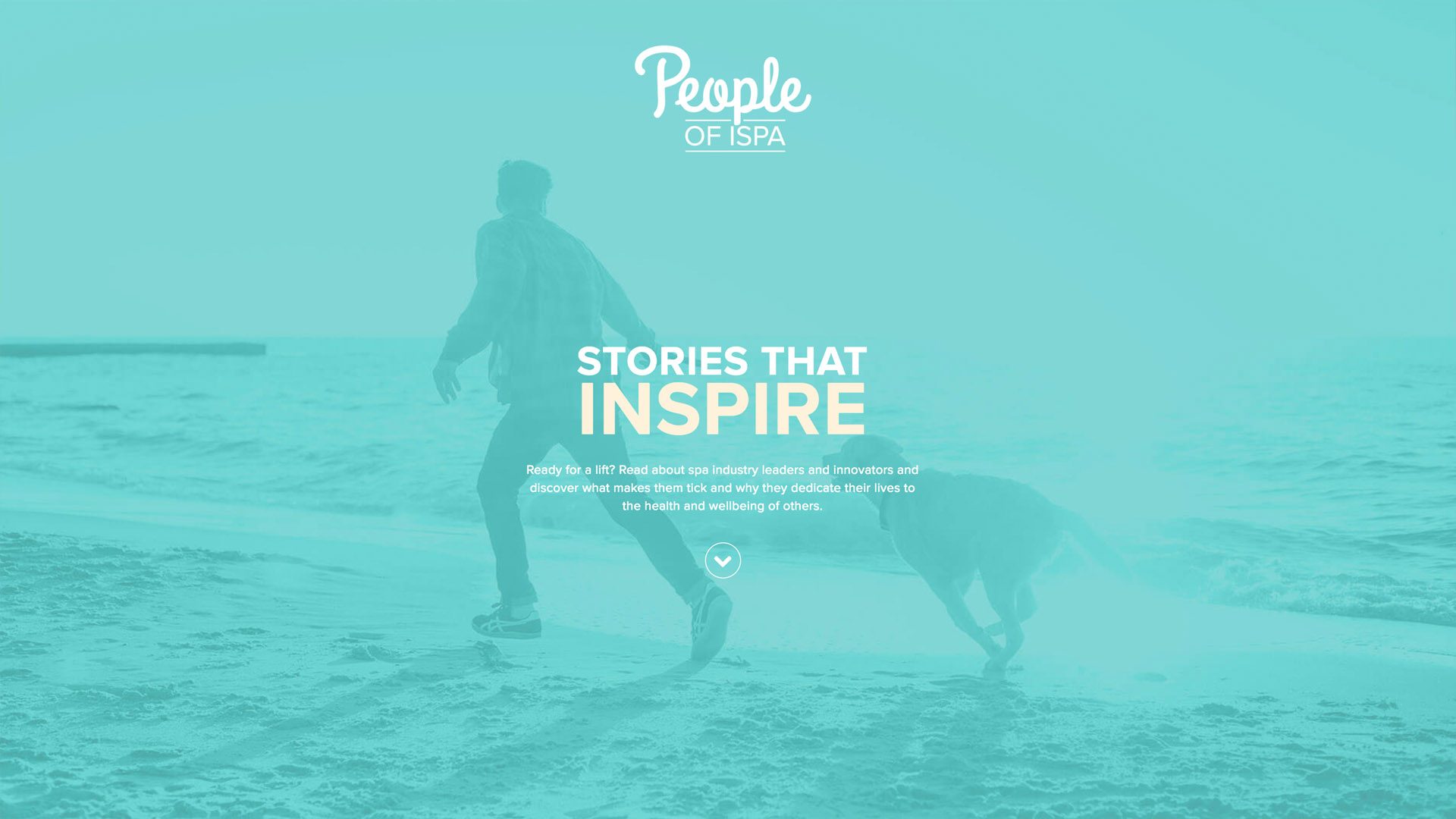 International Spa Association Portfolio Asset