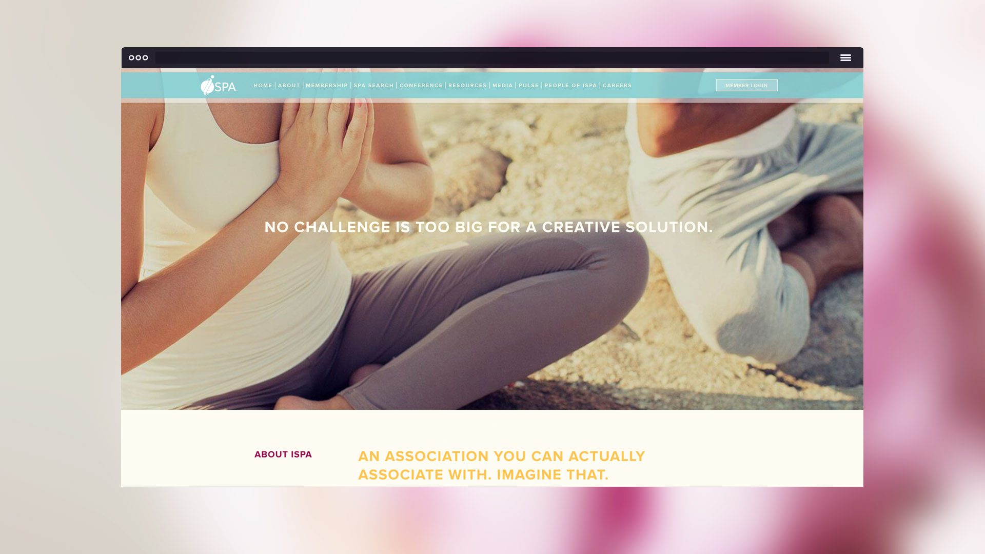 International Spa Association Portfolio Asset