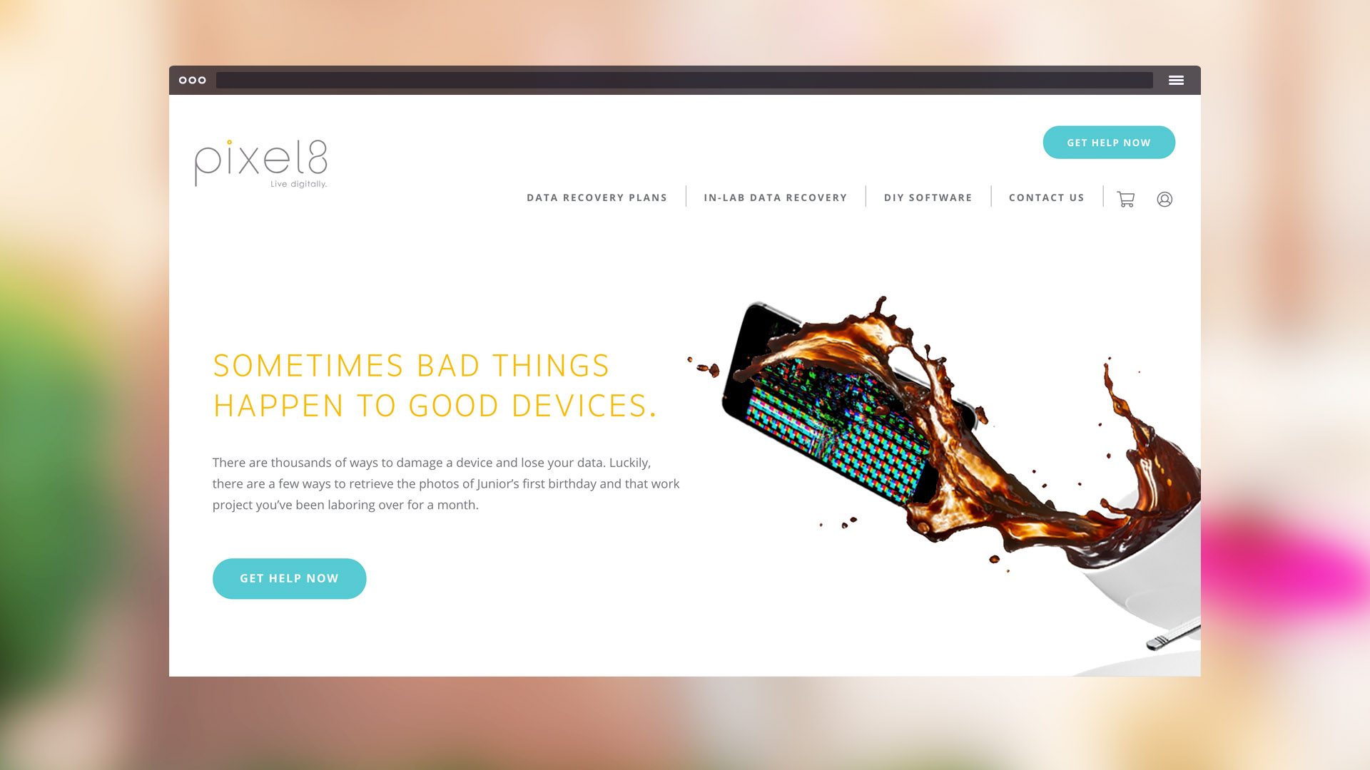Pixel8 Portfolio Asset
