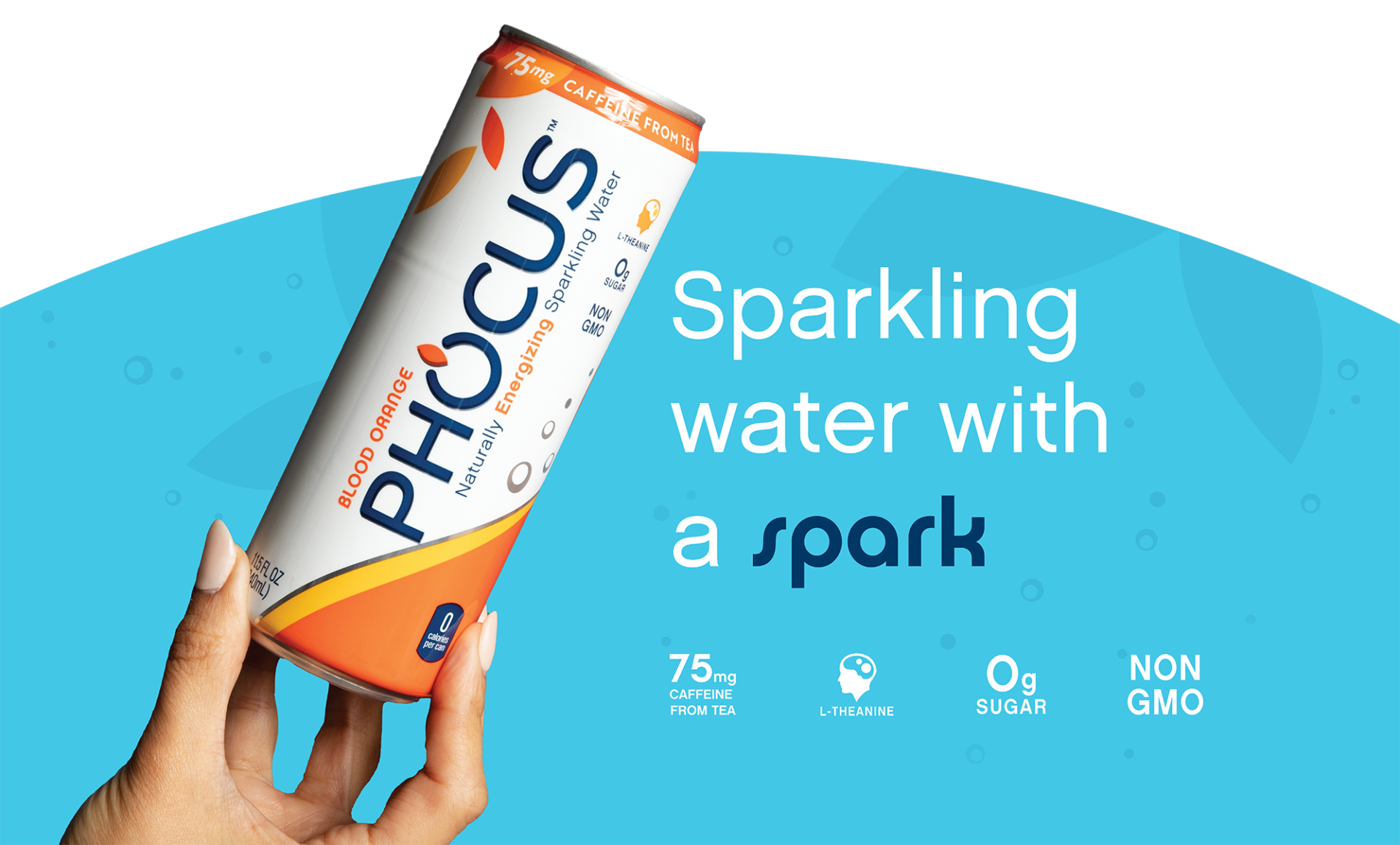 Phocus Portfolio Asset