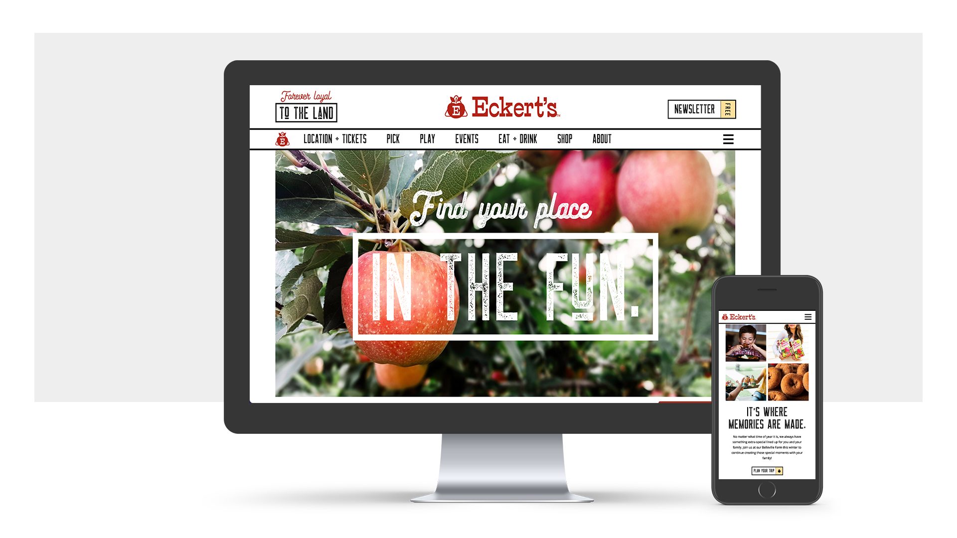 Eckert’s Portfolio Asset